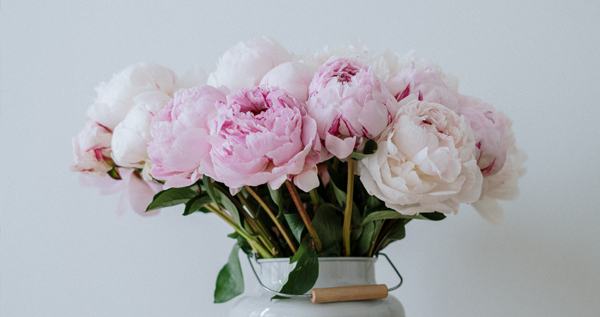 14 Easy Ways to Decorate & Refresh Your Home for Spring